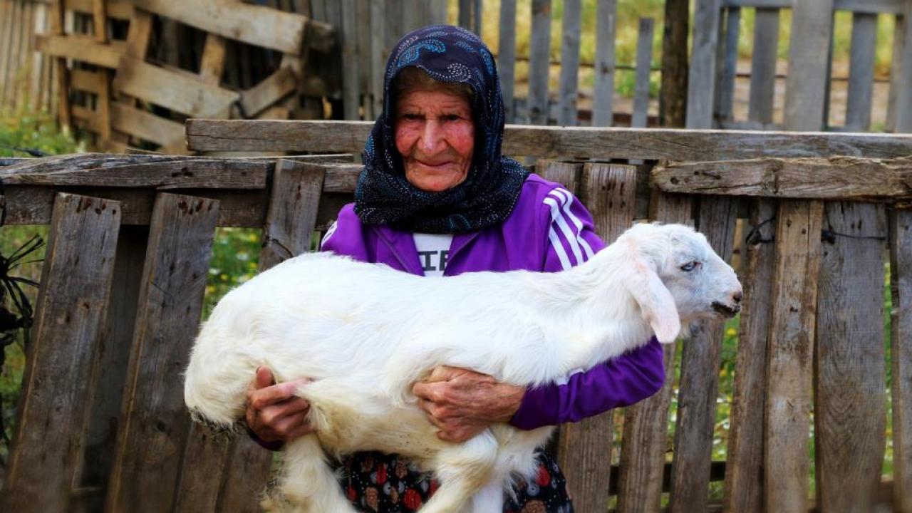 90 yıl önce ninesinin peşinde öğrendiği çobanlığı sürdürüyor