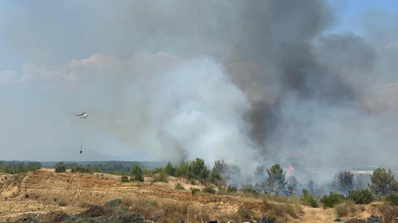 Antalya'da çıkan yangında 100 dekar alan zarar gördü