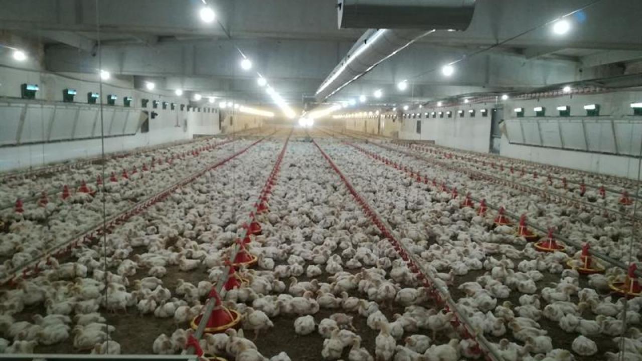 Beyaz et sektörüne dev "fahiş fiyat" operasyonu