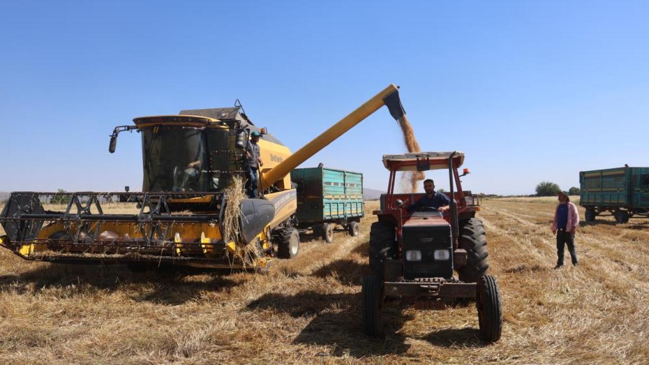 Buğday üreticisi: 16,5 lirayla bizi bitirmeye çalışıyorlar