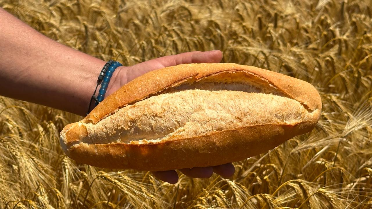 Çiftçiler: Ekmek fiyatının artmasındaki sorumlu biz değiliz
