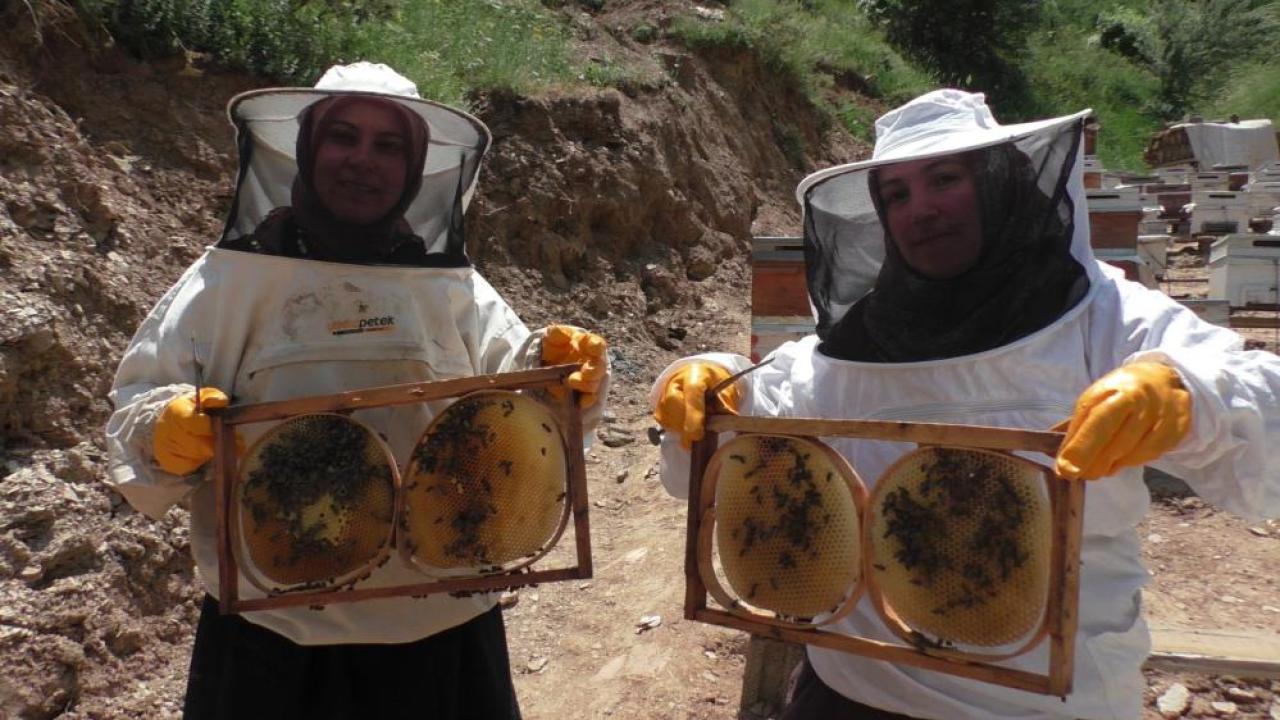 Gelin-görümce el ele verdi kovan sayısı 20 katına çıktı
