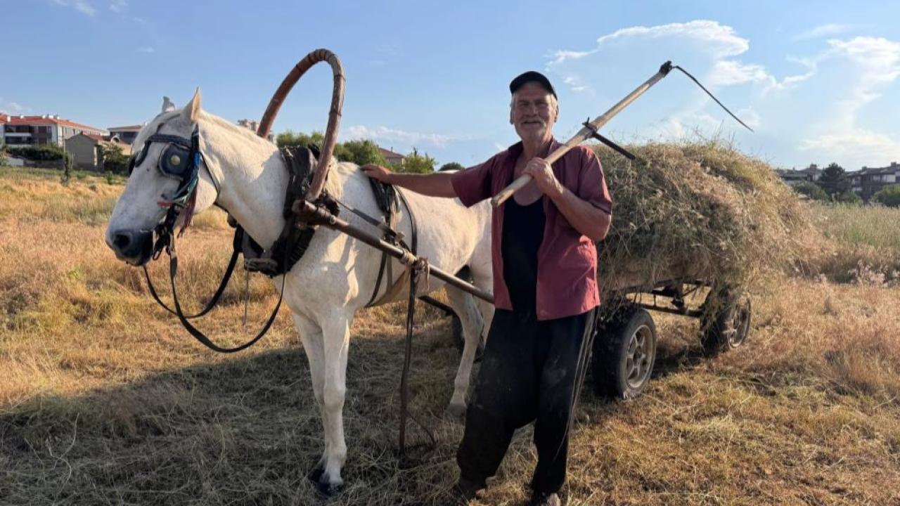 Kanser oldu hayvancılığa yöneldi şimdi her gün ot biçiyor