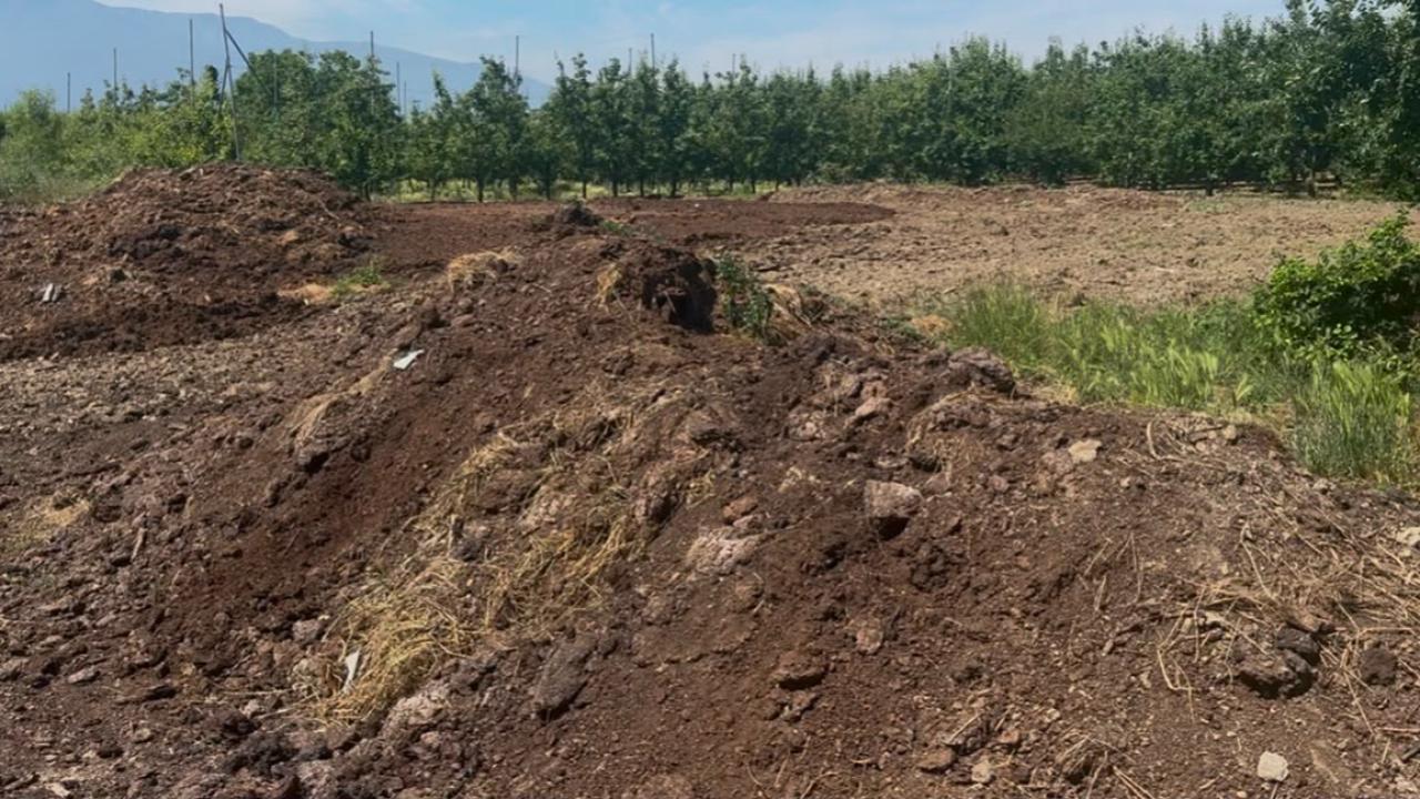 Savaşlar hayvan gübresini etkilemedi halen ucuz ve faydalı