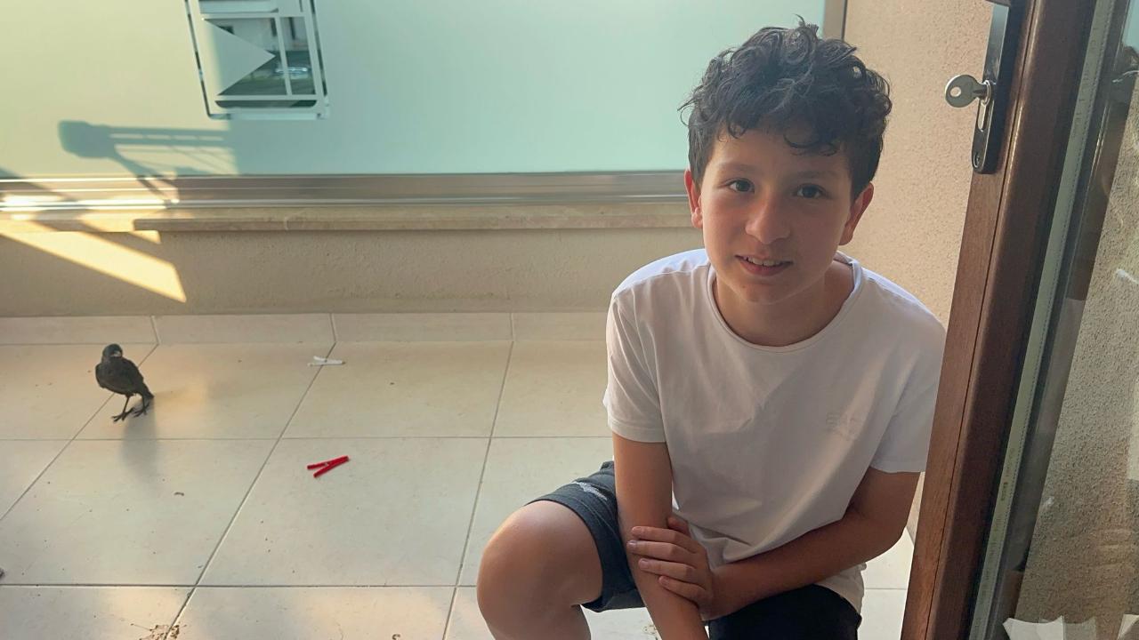 Yuvadan düşen karga yavrusuna balkonda gözü gibi bakıyor