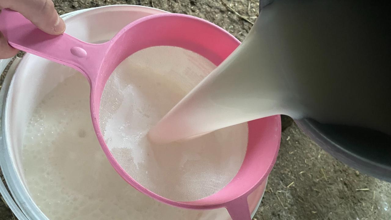 Çiğ süt maliyetindeki düşüş haziranda da sürdü