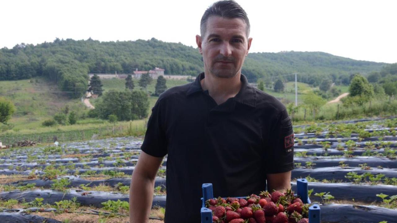 Çilek üretimini 2 dönümden 42 dönüme çıkardı; yok satıyor