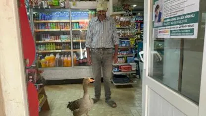 "Kesip köpeğe yedirin" diye verilen kazla 10 yıllık dostluk