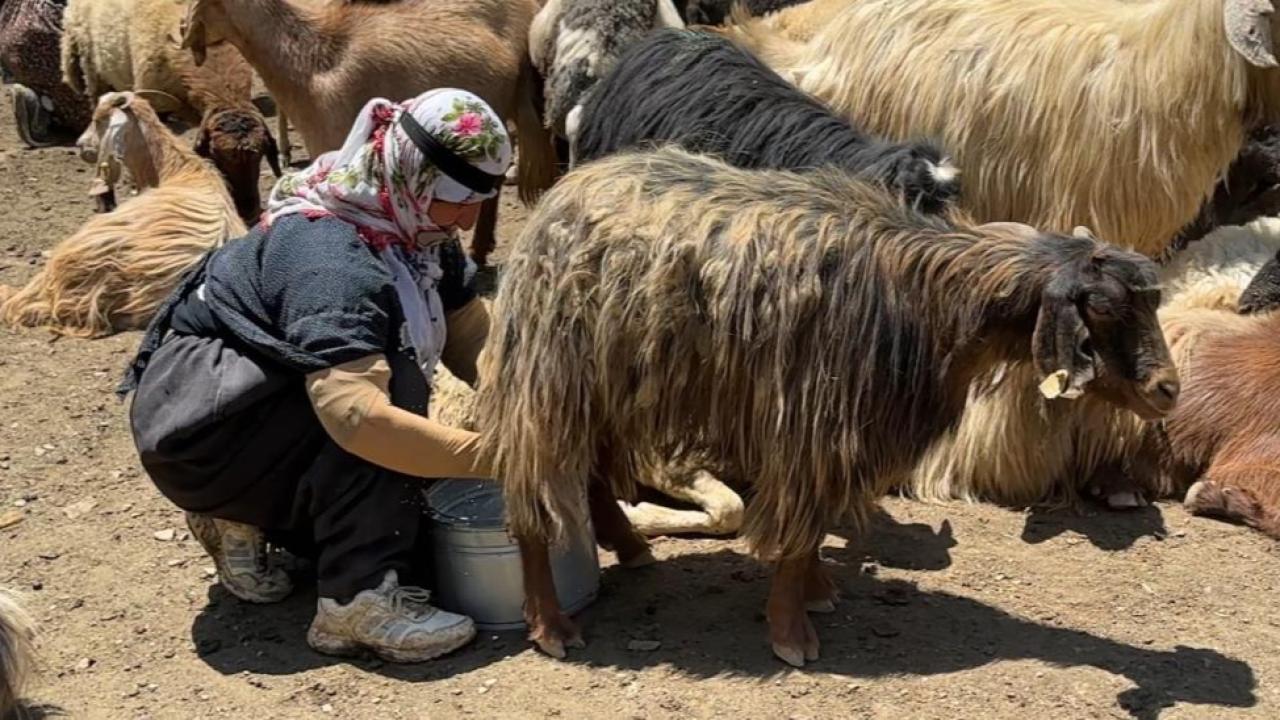 Otomatik Taslak