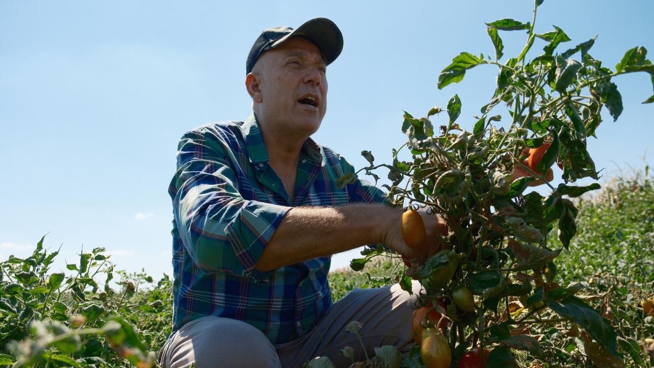 Tonlarca karpuzu tarlada kalmıştı bir yıldır karpuz yemiyor