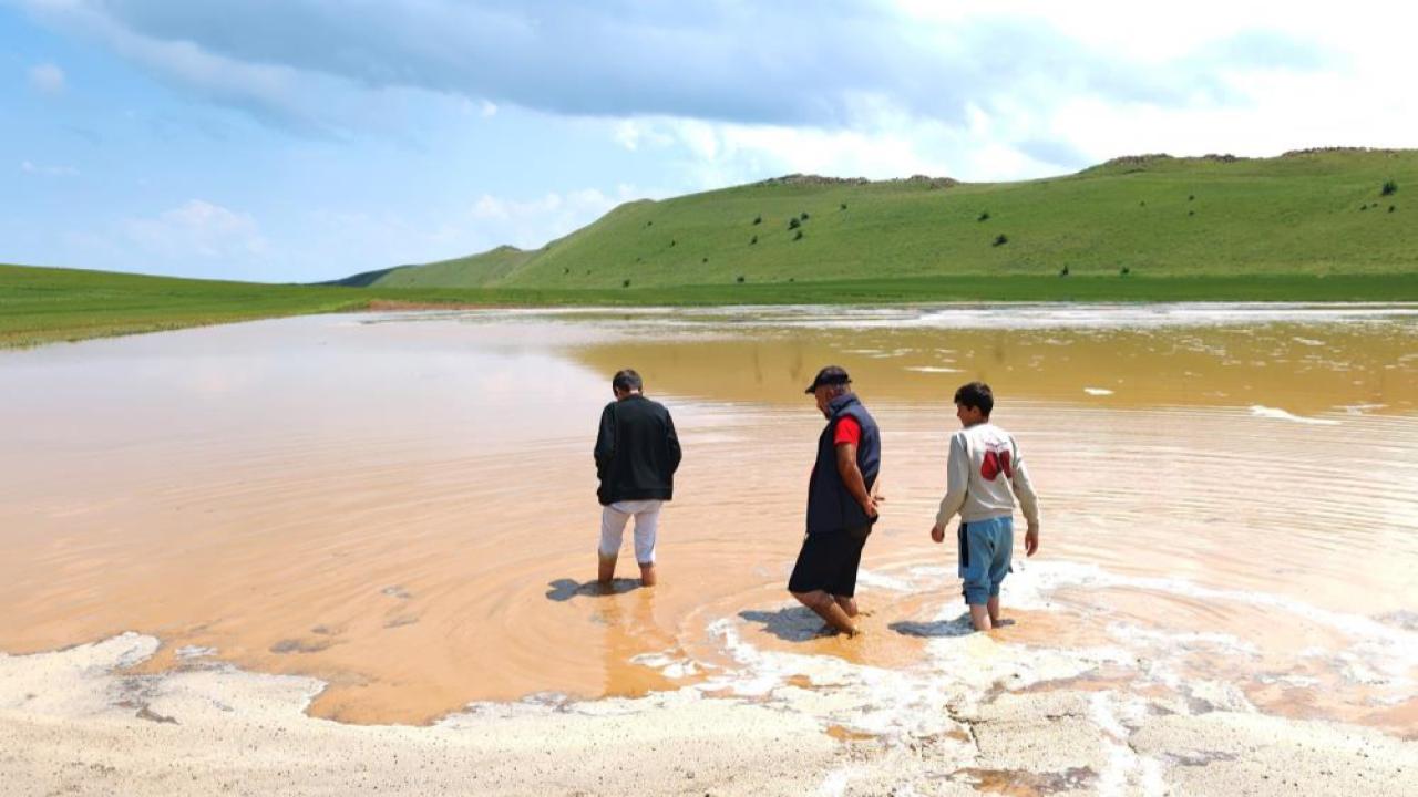 TZOB: Bereketli sezon diye mağdur çiftçiler göz ardı edilmemeli