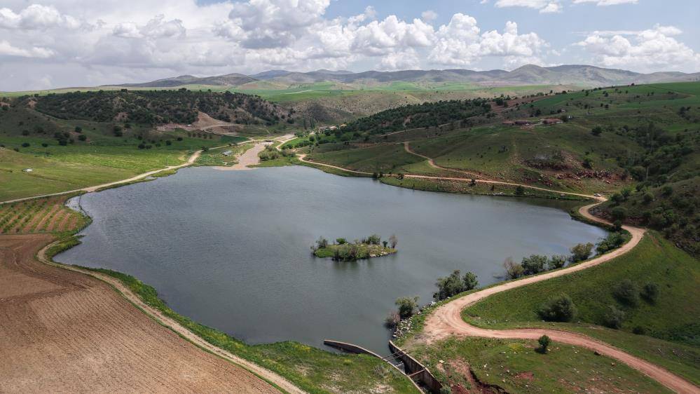 Kurumuş ve zemini kendiliğinden yetişen karpuzlarla dolmuştu