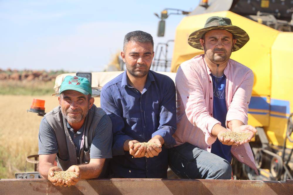 Buğday üreticisi: 16,5 lirayla bizi bitirmeye çalışıyorlar