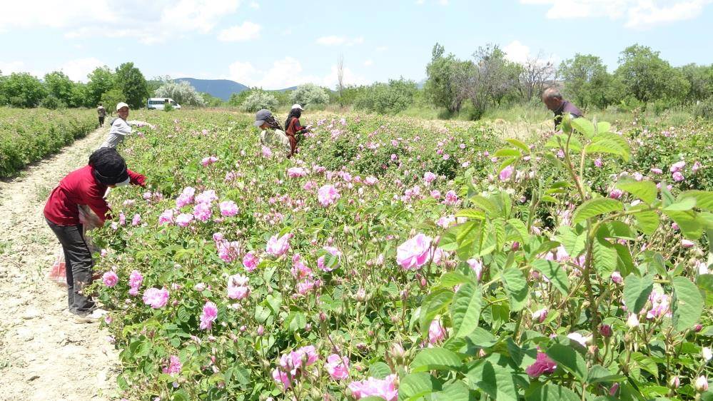 4 tondan bir litre çıkıyor ve 12 bin avrodan satılıyor