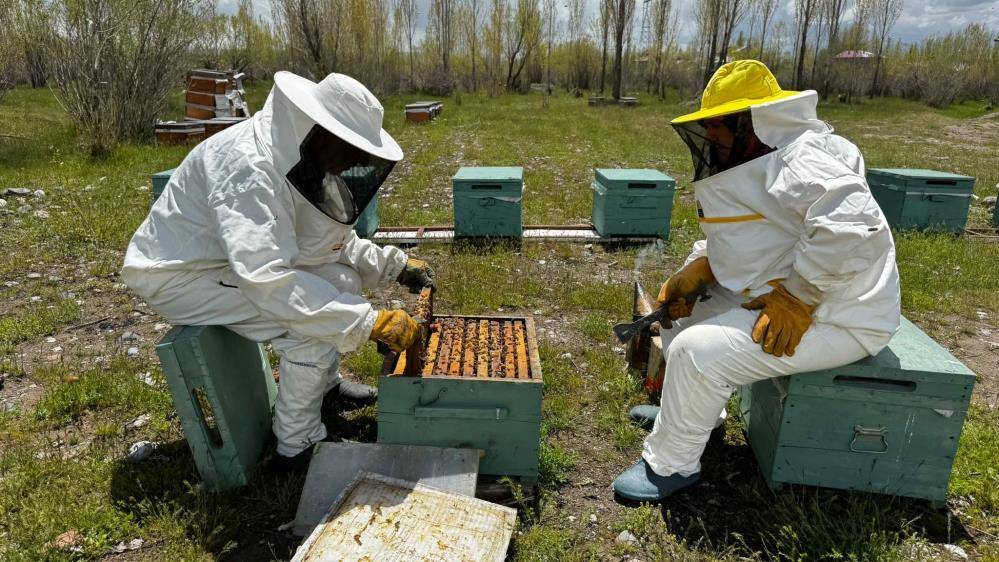 4 kovanla başladı devlet desteğiyle 100'ün üzerine çıkardı