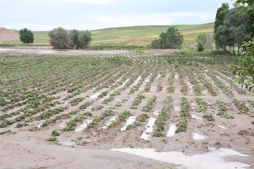 Yozgat'ta dolu ve yağmur 5 bin dönümde zarara yol açtı