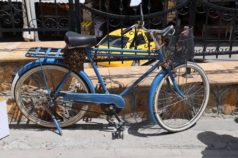 Oğul veren arılar bu kez bisikleti mesken tuttu