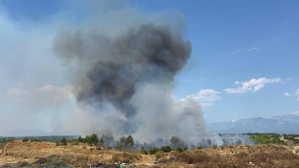 Antalya'da çıkan yangında 100 dekar alan zarar gördü