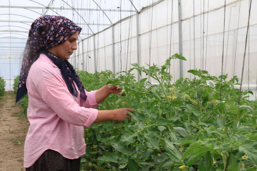 Kadınlar güçlerini birleştirdi tarımda başarı hikayesi yazdı