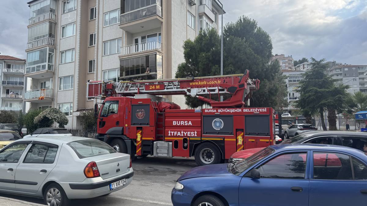 Ağaca takılan karga kurtarılırken diğer kargalar hiç durmadı