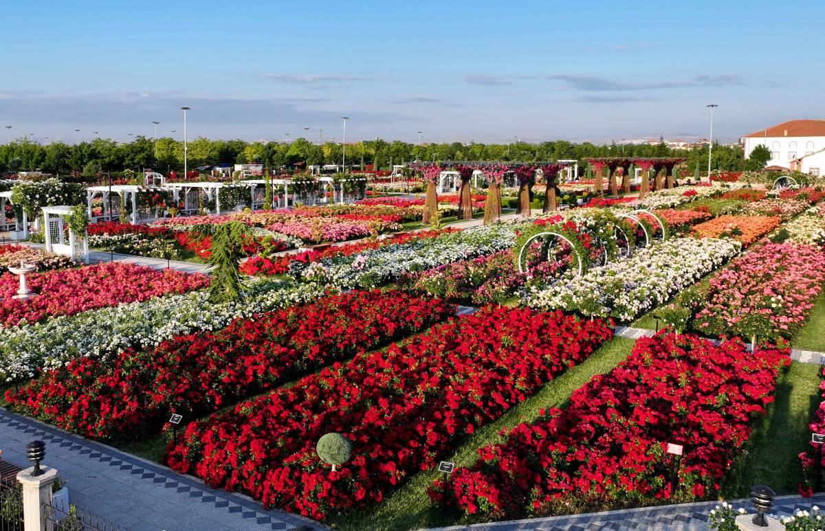 Konya'daki 190 farklı türde 50 bin gül ziyarete açıldı
