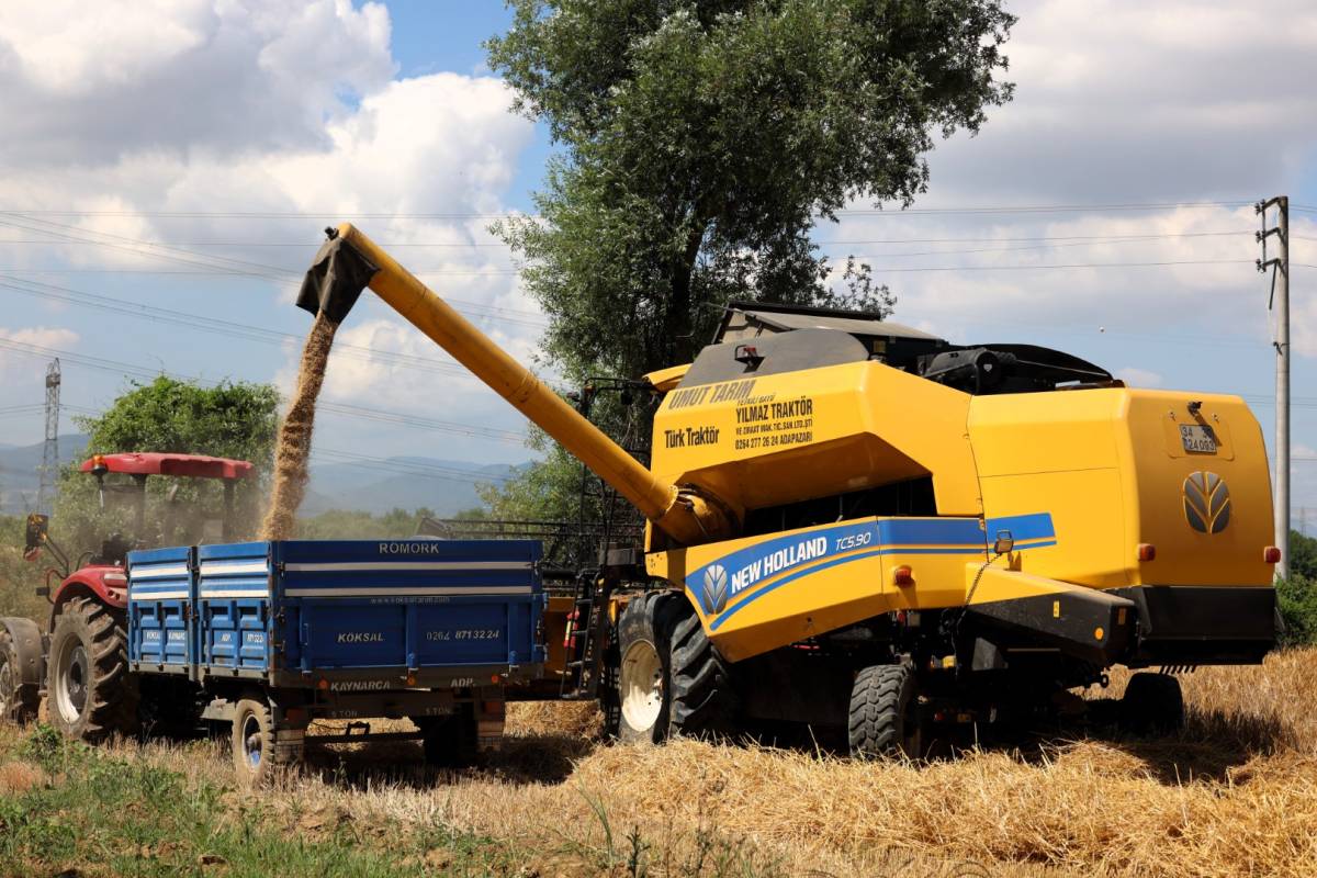 Kocaeli Büyükşehir destekledi 55 bin dekarda arpa üretildi