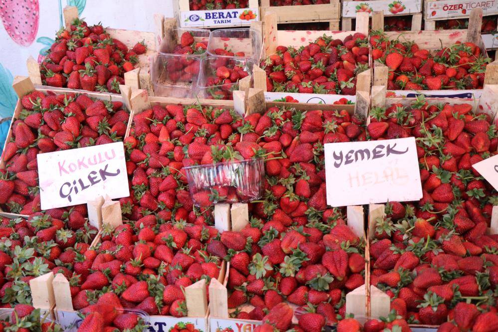 Tarlada 43 lira olan çilek markette 165 liraya satıldı
