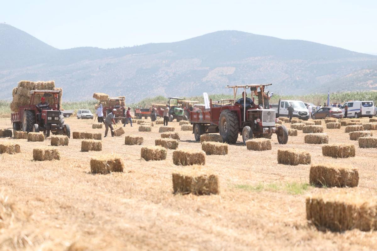 Çiğ süt maliyetindeki düşüş haziranda da sürdü